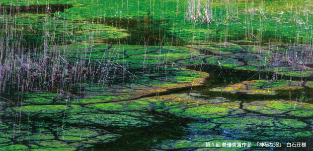 第２回「私が感動した磐梯高原の風景」写真コンテスト作品募集