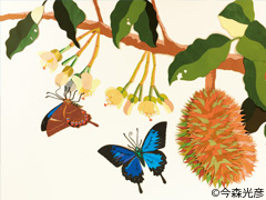 今森光彦の世界・切紙展「森のいきもの」