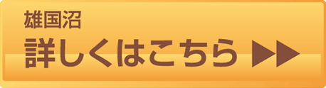 詳しくはこちら