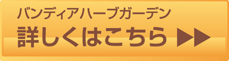 詳しくはこちら