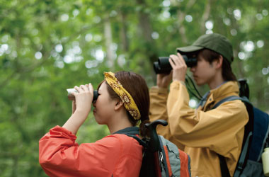 オータムプレミアム