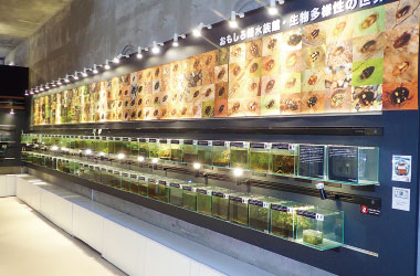 選べる体験プログラム