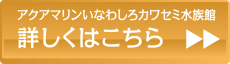 詳しくはこちら
