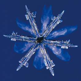 雪の結晶写真イメージ