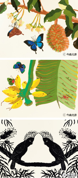 今森光彦の世界・切紙展「森のいきもの」
