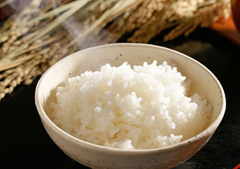 大塩産のコシヒカリ
