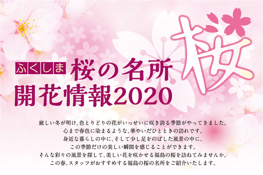ふくしま 桜の名所 開花情報2020