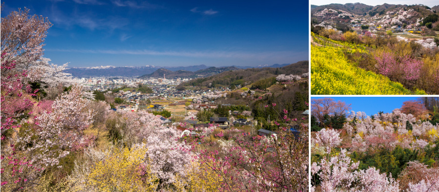 花見山公園（福島市）