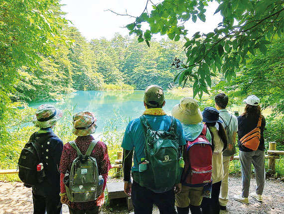 グリーンシーズンプレミアム