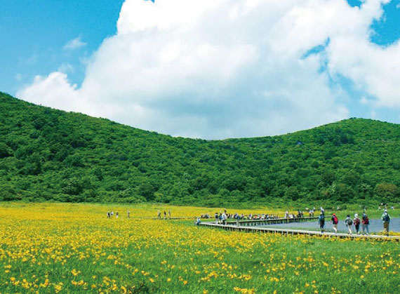 グリーンシーズンプレミアム