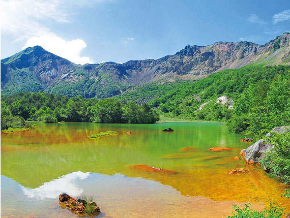 グリーンシーズンプレミアム
