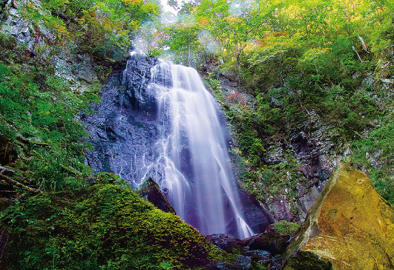 グリーンシーズンプレミアム