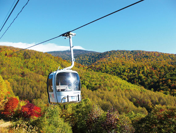 グリーンシーズンプレミアム