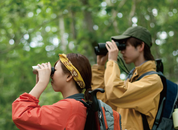 グリーンシーズンプレミアム
