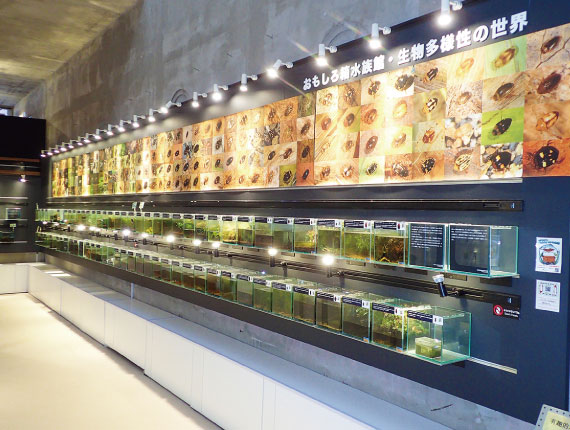 グリーンシーズンプレミアム