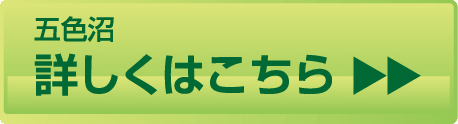 詳しくはこちら