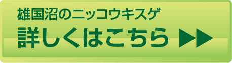 詳しくはこちら