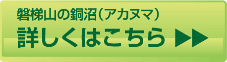 詳しくはこちら