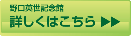 詳しくはこちら