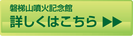 詳しくはこちら