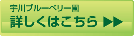 詳しくはこちら