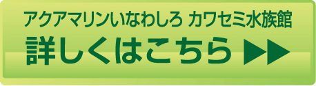 詳しくはこちら