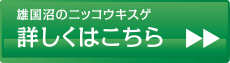 詳しくはこちら