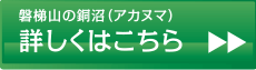 詳しくはこちら