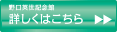 詳しくはこちら