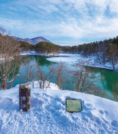 ウィンタープレミアム