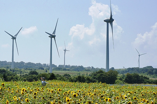 郡山布引 風の高原 ひまわり畑15 磐梯山を一望できる高級リゾート裏磐梯高原ホテル 公式