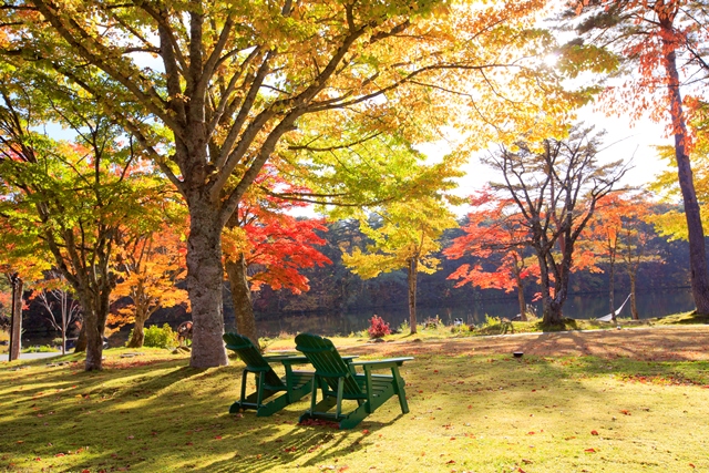 【HP限定】　裏磐梯　紅葉の特等席でゆったり過ごすお得な寛ぎプラン＜磐梯山側客室タイプ＞