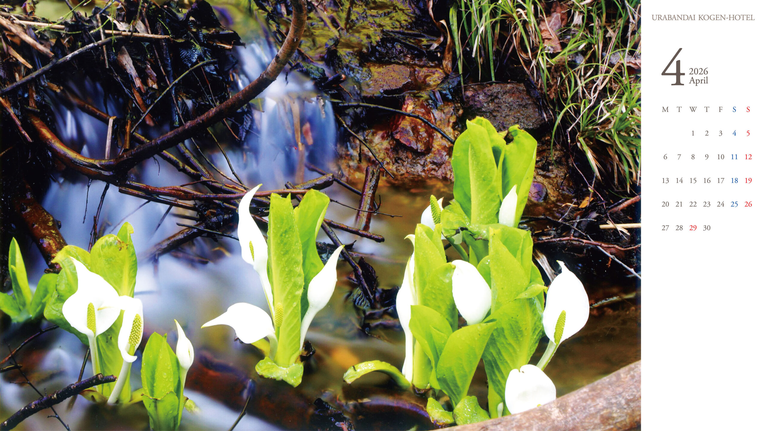 裏磐梯高原ホテル 写真コンテスト