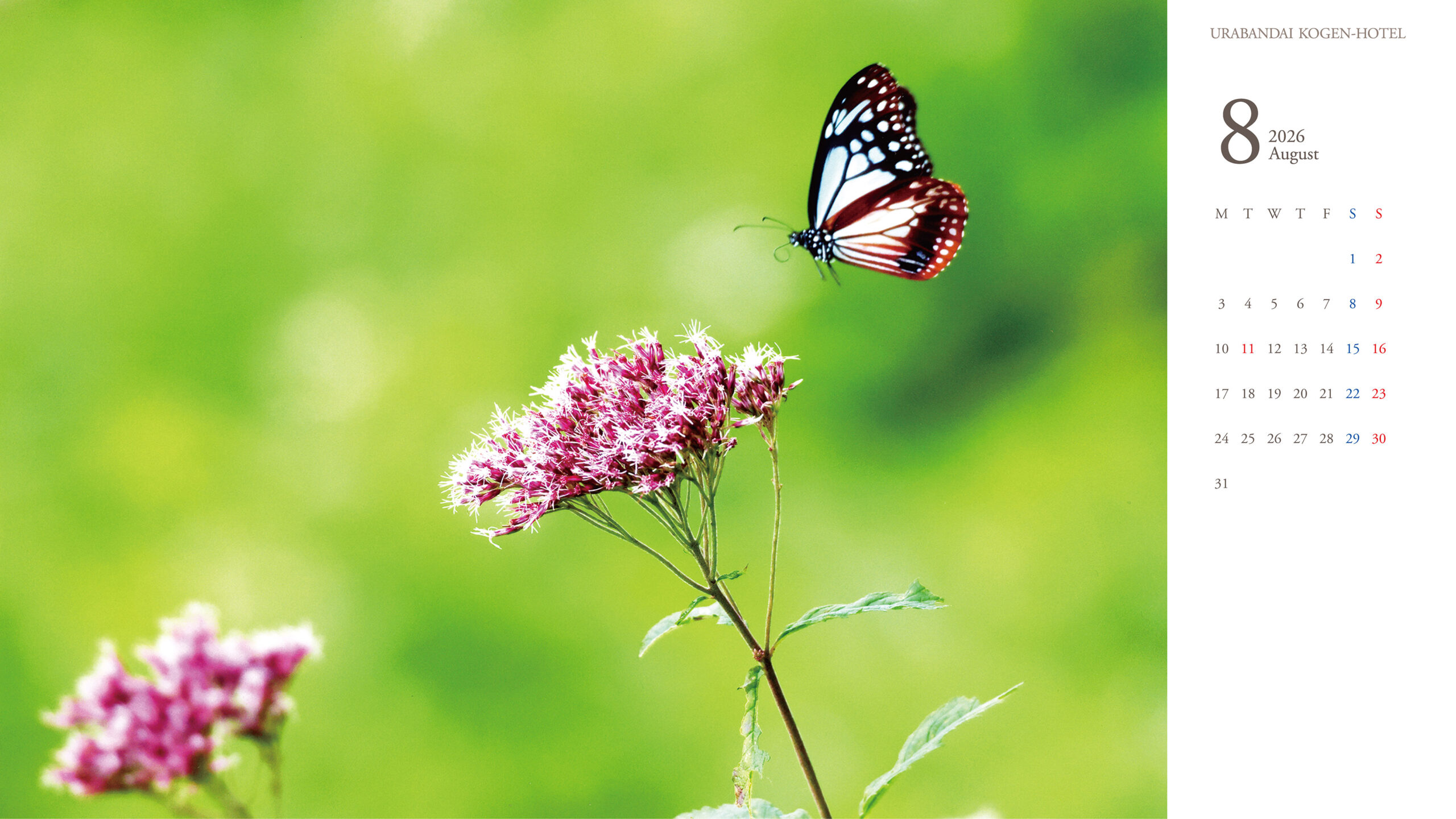 裏磐梯高原ホテル 写真コンテスト