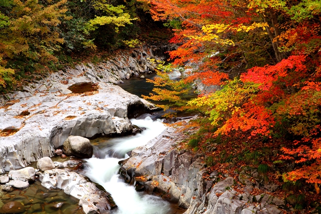 裏磐梯 中津川渓谷 紅葉